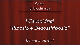 Altri carboidrati importanti Il ribosio e desossiribosio L3 [upl. by Nihahs412]