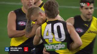 Qualifying Final 2  Geelong v Richmond Highlights [upl. by Avika]