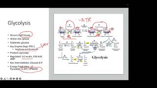 Biochem Review  Aerobic Respiration NPLEX I [upl. by Atinahs]