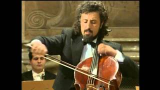 Mischa Maisky  Haydn  Cello Concerto No 2 in D major [upl. by Eedrahc487]