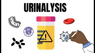 Urinalysis Interpretation QUICK and EASY [upl. by Cartie157]