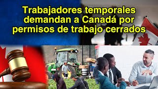 Trabajadores temporales demandan a Canadá [upl. by Nylynnej]