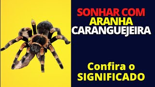 Sonhar com aranha caranguejeira  Confira o significado desse sonho revelador [upl. by Ahsinauq]