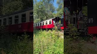 Harzer Dampflok Steig Harzer Schmalspurbahn beim Wandern [upl. by Mandi]