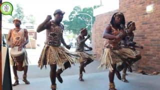 Bulawayo Traditional Dances  Lighter moments at CODEPA 263Chat [upl. by Ieppet]