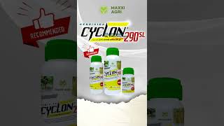 maxxiagri  herbisida CYCLON 290SL Penghacur gulma Daun Lebar dan Teki Aman untuk Padi shorts [upl. by Reinal204]