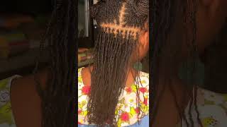 How to Interlock Microlocs Loc Retightening Tips microlocs braidlocs [upl. by Earised9]