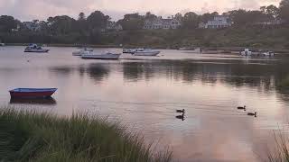 Mill Pond  Chatham MA  September 2024 [upl. by Wales698]