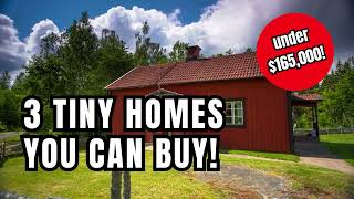 Tiny houses for sale less than 165K [upl. by Bathelda]