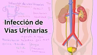 Infección de Vías Urinarias  Salud  Educatina [upl. by Gabbie]