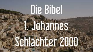 1 Johannes  Die Bibel als Hörbuch Schlachter 2000 [upl. by Amado]