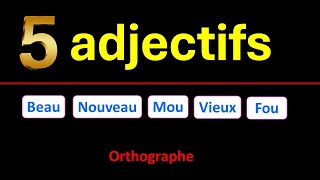 Accord des 5 adjectif qui ont deux formes différentes au masculin  euphonie [upl. by Pedersen]