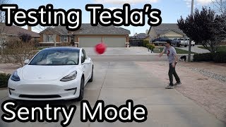 Does Teslas Sentry Mode Work [upl. by Vilma]