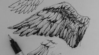 Pen amp Ink Drawing Tutorials  How to draw wings [upl. by Cown]