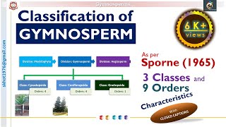 Classification of Gymnosperms by Sporne characteristics of Cycadopsida Coniferopsida amp Gnetopsida [upl. by Ralfston838]