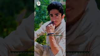 chitral song [upl. by Elsilrac655]