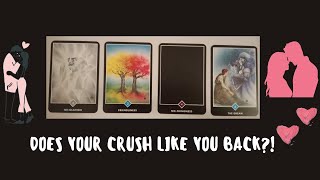 Does your crush like you back 😻 🔥 💏 ❤️ 👱‍♀️  Pick a card [upl. by Epifano]