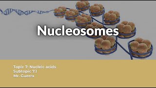 QUESTION SOLVED Nucleosome structure and functions  IB Biology Topic 7 [upl. by Moe437]