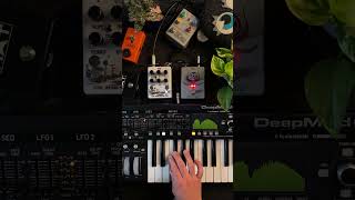 Wrathprayer Distortion Pedal With Synth Behringer DeepMind 6 [upl. by Maitland]