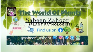 Phytohormones by Ms Sabeen ZahoorPlant Pathologist [upl. by Ahselet]