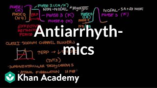 Antiarrhythmics  Circulatory System and Disease  NCLEXRN  Khan Academy [upl. by Klockau]