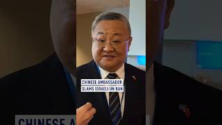 Chinese ambassador slams Israeli UN ban [upl. by Sokim472]