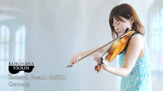 Roderich Paesold PA802J ローデリヒ・ペゾルト PA802J バイオリン紹介・演奏【Violinist：漆原直美】 [upl. by Chapland]