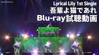 【Bluray試聴動画】Lyrical Lily 1st Single「吾輩よ猫であれ」LIVE映像 [upl. by Freeman726]