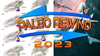 Paleo Rewind 2023 October [upl. by Wixted603]