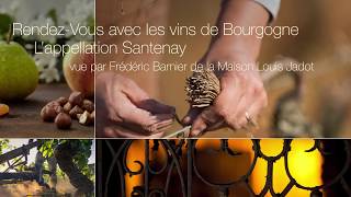 L’appellation Santenay vu par Frédéric Barnier de la Maison Jadot [upl. by Amlet964]