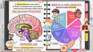 BIOLOGI KSSM TINGKATAN 4 121 amp 122 [upl. by Ahsienauq796]