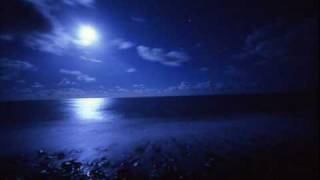 Moonlight Shadow  Dana Winner [upl. by Goeselt542]