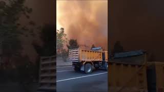 Incendi in Ecuador fiamme altissime a Quito [upl. by Eveivenej863]