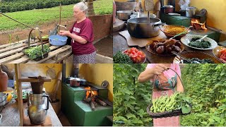 ALMOÇO NA CASINHA COM TUDO COLHIDO NA HORA [upl. by Rosenquist]