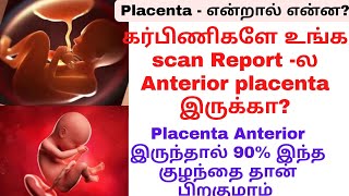 palaceta meaning tamilanterior placentaanterior placenta during pregnancy in tamil [upl. by Aibara]