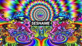 Seshame  Cant Stop Playing Sesh remix [upl. by Anasor924]