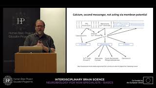 Lecture 2 Christoph Schwarzer  Intracellular signal transduction [upl. by Eelidnarb]