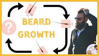 Beard Growth Cycle  The 4 stages of beard growth [upl. by Remo]