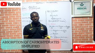 Absorption of Carbohydrates simplified [upl. by Nottarts]