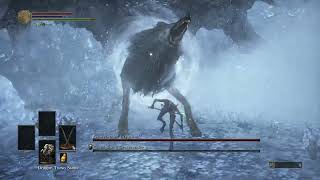 Dark Souls III  Champions Gravetender and Gravetender Greatwolf  No Hit [upl. by Weingarten]