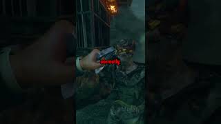 Craziest Glitch in CoD Zombies [upl. by Barnes]