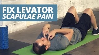 3 Reasons You Have LEVATOR SCAPULAE Pain and how to fix it [upl. by Yllehs743]