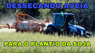 DESSECANDO AVEIA PARA O PLANTIO DA SOJA… [upl. by Alberta]