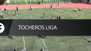 Tochero5 Liga Jornada 1 Michigan VS Tiger State MR [upl. by Cower]