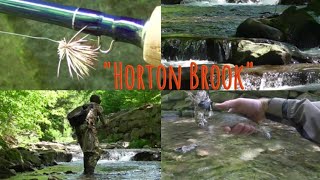 Catskills Fly Fishing quotHorton Brookquot Catskills Series Part II [upl. by Anilyx]