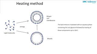 Liposome Preparation 1 [upl. by Stiegler987]