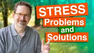 Chronic Stress Problems and Solutions [upl. by Airuam]