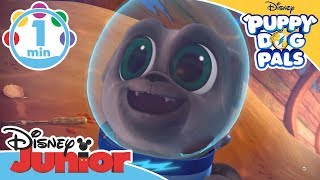 Puppy Dog Pals  Scuba Diving Song  Disney Junior UK [upl. by Suoivart273]