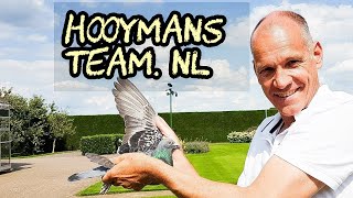 JAN HOOYMANS racing pigeon Kerkdriel NL Premier Racing Pigeon Amateurs in the Netherlands [upl. by Oihsoy]