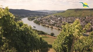 🍇Flusskreuzfahrt auf RHEIN und MOSEL  Weinzauber mit MS ALENA I Phoenix Reisen TV 90 Teil 2 [upl. by Lirret450]